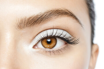 Fototapeta premium Close up of a woman's eye with white eyeshadow and long lashes