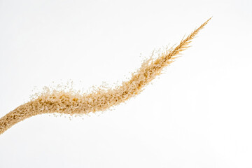 Wheat Spike Frozen in Motion