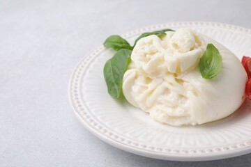Delicious burrata cheese and basil on light table, closeup. Space for text