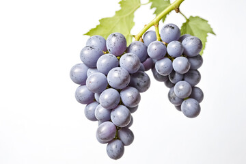 Fototapeta premium Fresh Grapes on a White Background