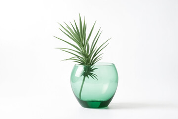 Green Glass Vase with Green Plant