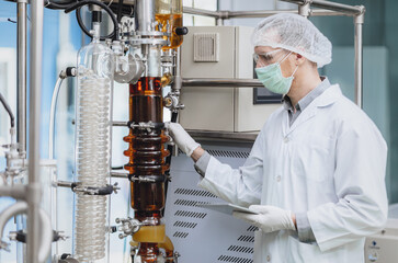 Scientist working with Equipment in Science Lab. Medical factory staff Cannabis CBD oil extraction....