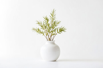 White vase with green plant on white background
