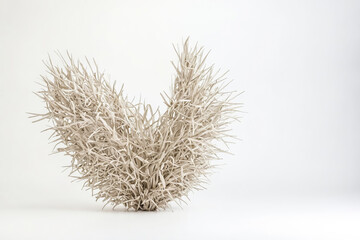Obraz premium Dried Grass in Heart Shape