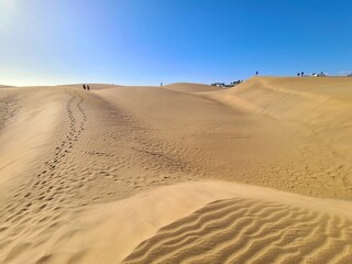 sand dunes in park