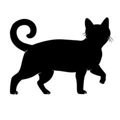 Cat walking silhouette vector illustration
