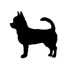 Chihuahua dog silhouette vector illustration