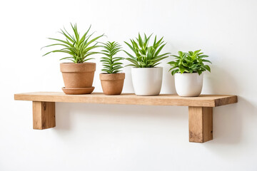 Minimalist Shelf with Plants