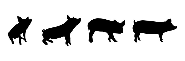 pig silhouette illustration  background for a pet day