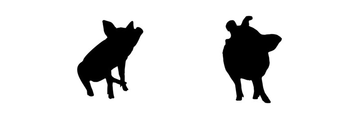 pig silhouette illustration  background for a pet day