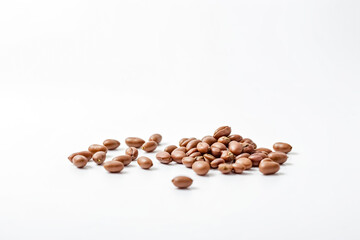 Brown beans on white background