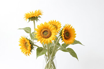 Fototapeta premium Bouquet of Sunflowers in a Glass Jar on White Background