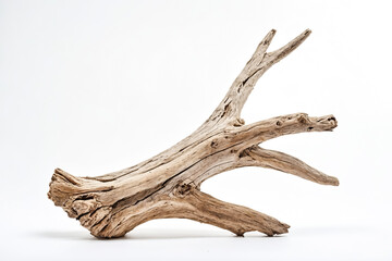 Fototapeta premium Weathered Driftwood Branch Isolated on White Background