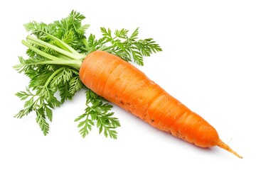 Fresh orange carrot with green leaves isolated on white background