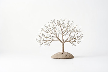 Bare Tree on a White Background