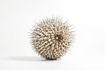 Fototapeta premium Spiky Ball