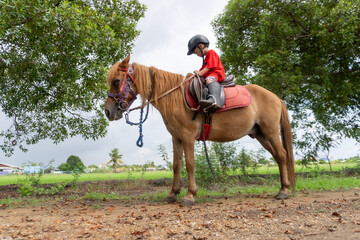 Portrait of Asia boy riding horse in the farm