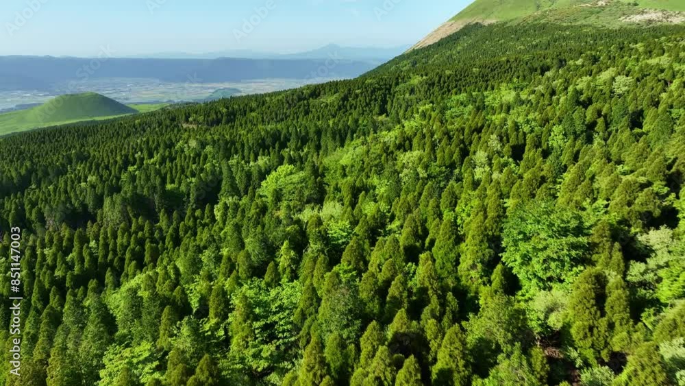 Poster 山林の風景　空撮