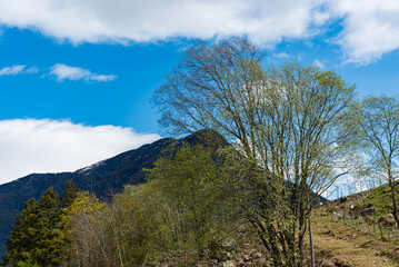 Skjolden - Norway - May 16 - 2023 - Mountain