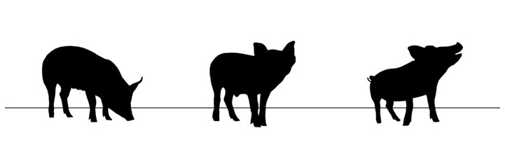 line art silhouette illustration  background pig for a pet day