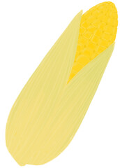 잎이 2장 붙어있는 옥수수