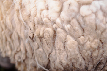 Fleece seen up close, for abstract backgrounds or textures