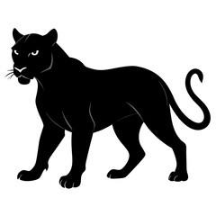 Obraz premium black cat vector illustration