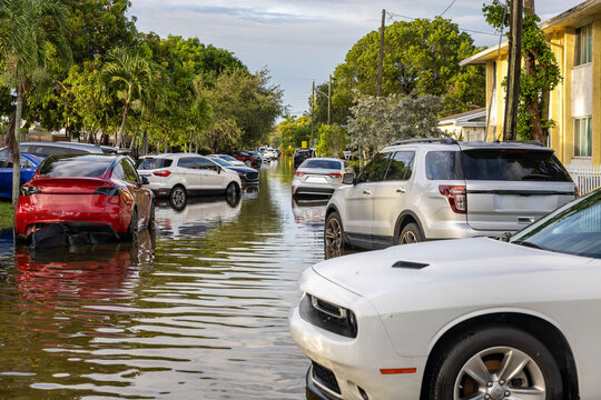 After the 2024 Hallandale Beach flood, cars are stranded on a submerged street. The floodwaters reflect trees and buildings, highlighting the severe impact on the community and the need for recovery.