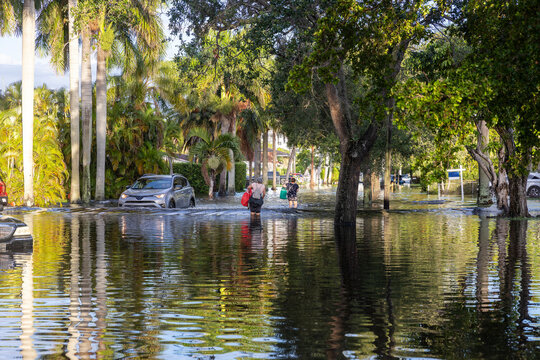 These images show the 2024 Hallandale Beach flood aftermath. Residential streets and cars are submerged, reflecting the severe impact of flooding on communities and highlighting the need for recovery 