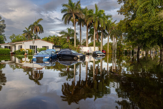 These images show the 2024 Hallandale Beach flood aftermath. Residential streets and cars are submerged, reflecting the severe impact of flooding on communities and highlighting the need for recovery 