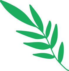 Ornaments Hand Drawn Nature Leaf Element 