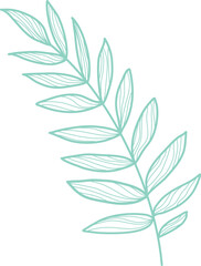 Ornaments Hand Drawn Nature Leaf Element 