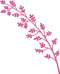 Ornaments Hand Drawn Nature Leaf Element 