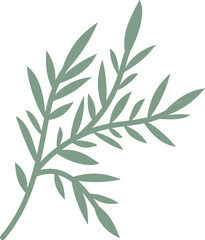 Ornaments Hand Drawn Nature Leaf Element 