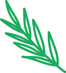 Ornaments Hand Drawn Nature Leaf Element 