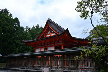 Fototapeta premium 土佐神社
