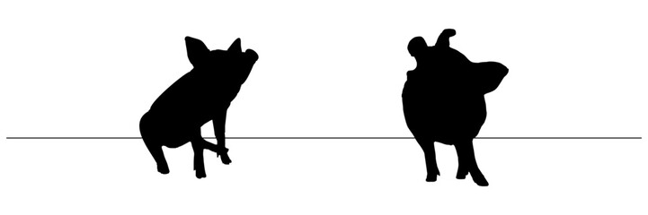 line art silhouette illustration  background pig pet day