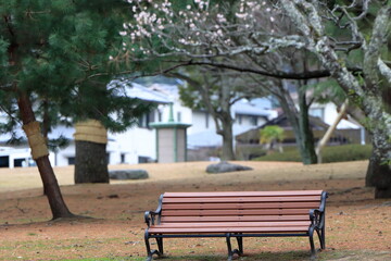 早春の別府公園