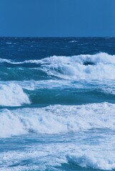 Si hay algo que caracteriza a Miami es que por donde quiera podemos ver la presencia del agua ya sea del mar,rios o canales.