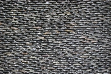 Mientras se camina a nuestro lado se encuentran muchas escenas,solo basta apuntar el objetivo al lugar correcto.