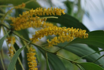 Con esa cantidad de agua se da esa combinacion perfecta para encontrar un estado muy verde y cubierto de flores todo el año.