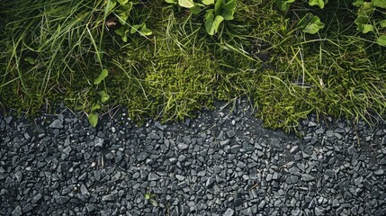 Gravel and grass blend on the ground
