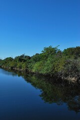 Si hay algo que caracteriza a Miami es que por donde quiera podemos ver la presencia del agua ya sea del mar,rios o canales.