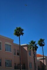 Si bien Miami es una ciudad de estados Unidos,su arquitectura ademas de ser moderna tiene un toque mediterraneo que la hacen muy particular.