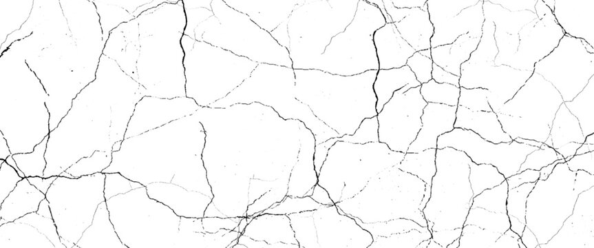 Vector marble pattern with white and black cracks Transparent texture.