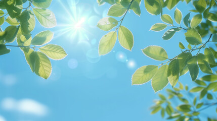 新緑の木漏れ日