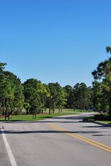 Con esa cantidad de agua se da esa combinacion perfecta para encontrar un estado muy verde y cubierto de flores todo el año.