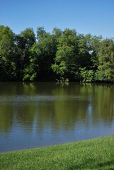 Si hay algo que caracteriza a Miami es que por donde quiera podemos ver la presencia del agua ya sea del mar,rios o canales.