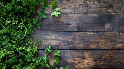 Organic parsley on wooden table with room for text fresh from garden on rustic board