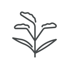 Goldenrod Flower Icon. Simple Line Illustration of a Goldenrod Plant, Symbolizing Herbal Production. Vector Symbol on White Background.